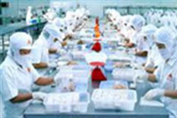 Tạm ngừng kinh doanh chuyển khẩu phủ tạng gia súc, gia cầm 