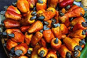 Giảm thuế nhập khẩu hạt điều xuống còn 3%