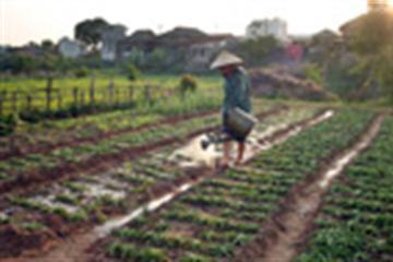 Miễn thủy lợi phí đối với đất nông nghiệp giao cho hộ nghèo