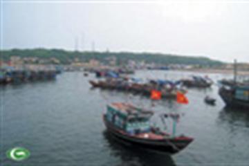 Tàu cá nước ngoài muốn vào cảng cá phải thông báo trước 24 giờ