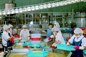 Giải thể công ty nông, lâm nghiệp kinh doanh thua lỗ