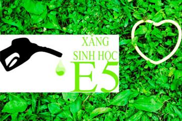 Hết tháng 11/2015, tối thiểu 50% cửa hàng xăng dầu tại Hà Nội bán xăng E5