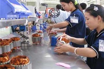 Người lao động thời vụ được làm thêm tối đa 300 giờ mỗi năm