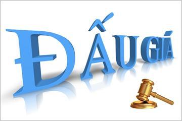 Tăng tiền đặt cọc đấu giá lên tối đa 20%