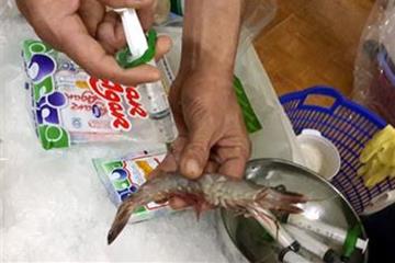 Bơm tạp chất vào tôm có thể bị xử lý hình sự