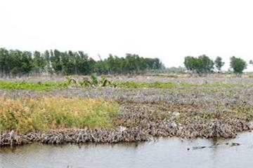 Nguyên Phó Giám đốc Sở NN&PTNT đối diện với án tù vì phá rừng đặc dụng