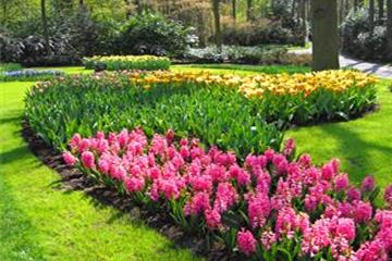 Ngắt hoa, dẫm lên thảm cỏ công viên bị phạt đến 1 triệu đồng