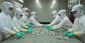 Thủ tướng: Xử lý dứt điểm tình trạng hàng thủy sản bị trả về