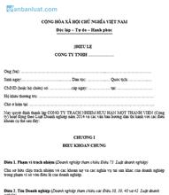 Điều lệ công ty TNHH MTV do tổ chức làm chủ sở hữu