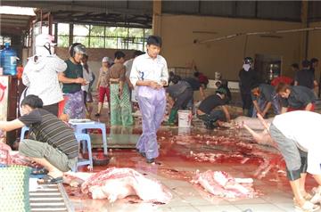 Sẽ tiến tới đóng cửa toàn bộ các điểm giết mổ nhỏ lẻ