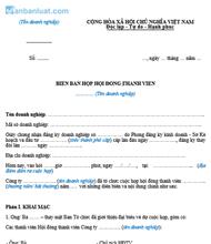 Mẫu Biên bản họp hội đồng thành viên