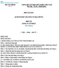 Mẫu điều lệ công ty đại chúng