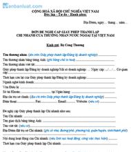 Đơn đề nghị cấp phép thành lập chi nhánh DNNN tại Việt Nam