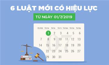 Infographic: Tổng quan 6 Luật có hiệu lực từ ngày 01/7/2019