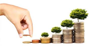 Cách thức chia lợi nhuận của dự án tài chính vi mô