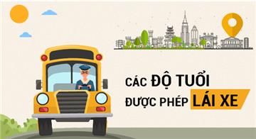 Infographic: Các độ tuổi được phép lái xe