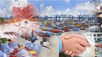 Khai trị giá hải quan của hàng hóa nhập khẩu trong công ty TNHH hai thành viên trở lên