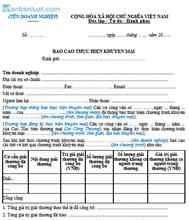 Báo cáo thực hiện khuyến mại