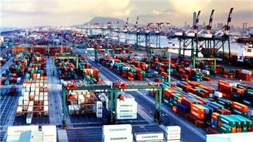 Thủ tục, hồ sơ hải quan nhập khẩu hàng hóa trong công ty cổ phần