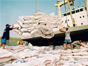 Chính thức: Đã có kết luận của Thủ tướng về việc xuất khẩu gạo