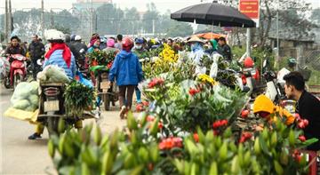 Thông báo khẩn số 13: Người mua bán ở chợ hoa Mê Linh từ 20/3 cần liên hệ y tế gấp