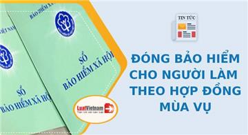 Hướng dẫn đóng BHXH cho người làm việc theo hợp đồng mùa vụ