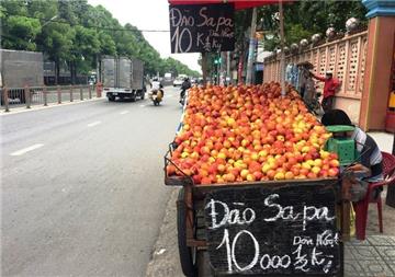 Hoa quả Trung quốc gắn mác hàng Việt: Người bán bị phạt thế nào?