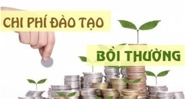 Thay đổi điều kiện người học cử tuyển bồi thường chi phí đào tạo