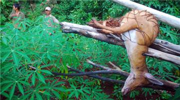 Săn bắn thú rừng hoang dã bị phạt tù bao nhiêu năm?