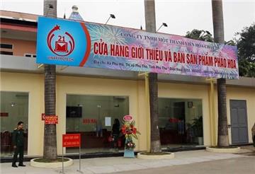 Danh sách các cửa hàng bán pháo hoa hợp pháp Tết 2021