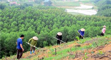 Chính sách mới có hiệu lực hôm nay (26/02/2021)