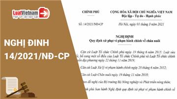 Đã có Nghị định mới xử phạt vi phạm hành chính về chăn nuôi