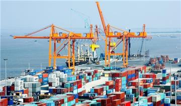 16 biểu mẫu về quản lý thuế hàng XNK có hiệu lực từ hôm nay