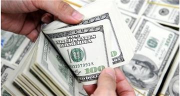 Ngôn ngữ và đồng tiền nào được sử dụng trong đấu thầu?