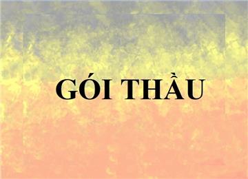 Gói thầu là gì? Các loại gói thầu mới nhất hiện nay