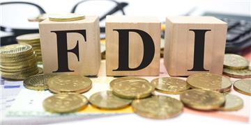 Doanh nghiệp FDI là gì? Cần điều kiện gì để trở thành doanh nghiệp FDI?
