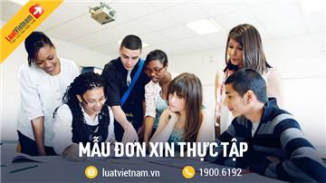 Mẫu Đơn xin thực tập chuẩn, ấn tượng cho sinh viên