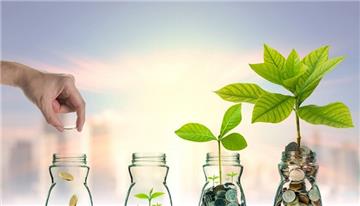 Ưu đãi và hỗ trợ đầu tư đặc biệt - Tổng hợp quy định mới nhất