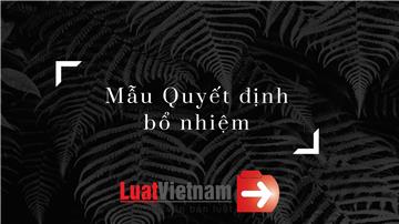 3 mẫu Quyết định bổ nhiệm chuẩn và phổ biến nhất