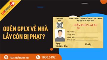 Quên GPLX về nhà lấy có bị phạt nữa không?