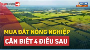 Video: 4 lưu ý cần nắm rõ trước khi mua đất nông nghiệp