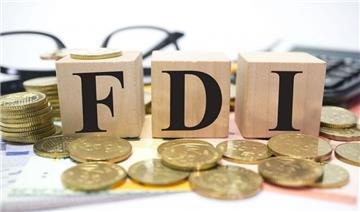 Chiến lược hợp tác đầu tư nước ngoài giai đoạn 2021 - 2030