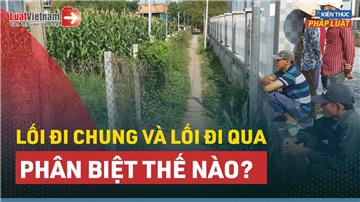 Video: Lối đi chung và lối đi qua có điểm gì giống và khác nhau?