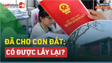 Video: Cha mẹ có được lấy lại đất đã cho khi con hư?