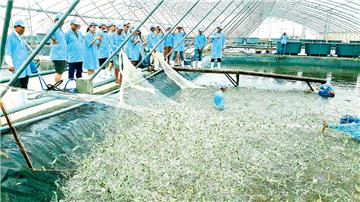 By 2030: Total aquaculture productivity reaches 7 million tons/year