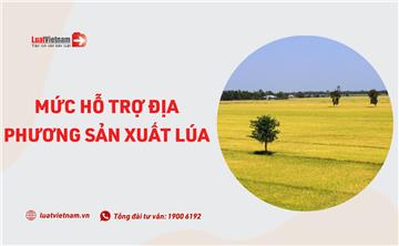 Mức hỗ trợ địa phương sản xuất lúa và quy định sử dụng tiền hỗ trợ