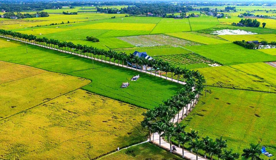 4 tiêu chí công nhận xã nông thôn mới kiểu mẫu