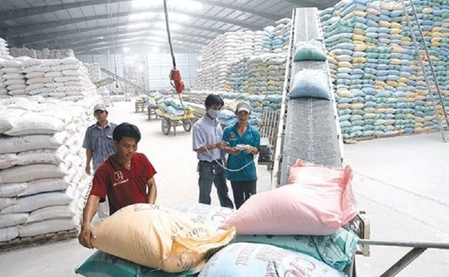 Thương nhân kinh doanh xuất khẩu gạo phải báo cáo hàng tuần, hàng tháng