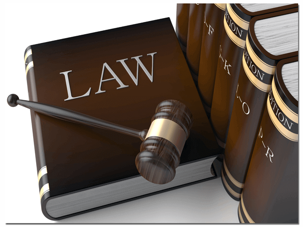 Legal Document Updates in English (01/2019)