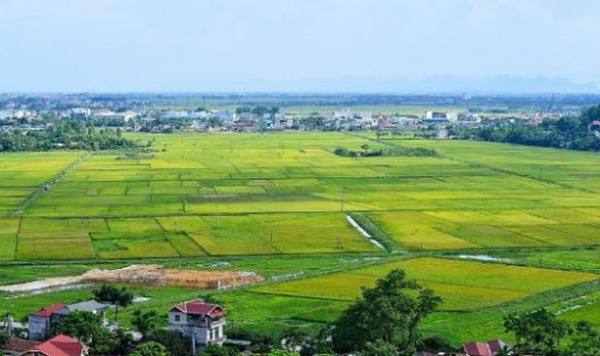 Mẫu Đơn xin chuyển mục đích sử dụng đất mới nhất 2025